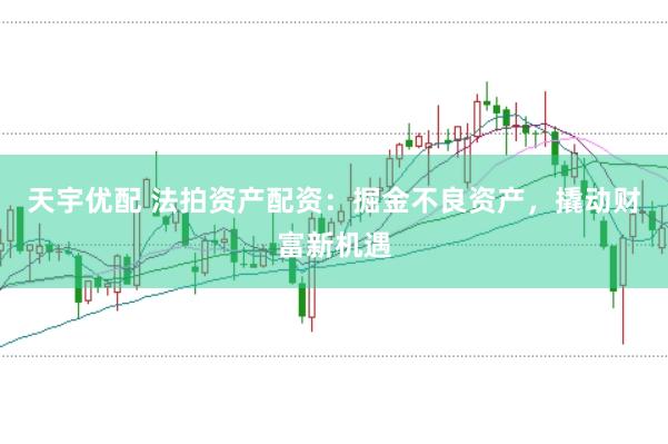 天宇优配 法拍资产配资：掘金不良资产，撬动财富新机遇
