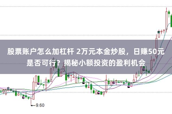 股票账户怎么加杠杆 2万元本金炒股，日赚50元是否可行？揭秘小额投资的盈利机会