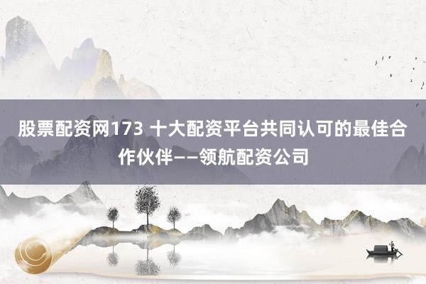 股票配资网173 十大配资平台共同认可的最佳合作伙伴——领航配资公司