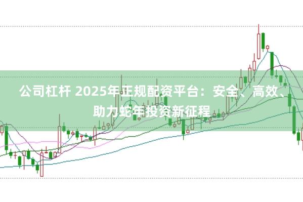 公司杠杆 2025年正规配资平台：安全、高效、助力蛇年投资新征程