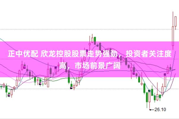正中优配 欣龙控股股票走势强劲，投资者关注度高，市场前景广阔