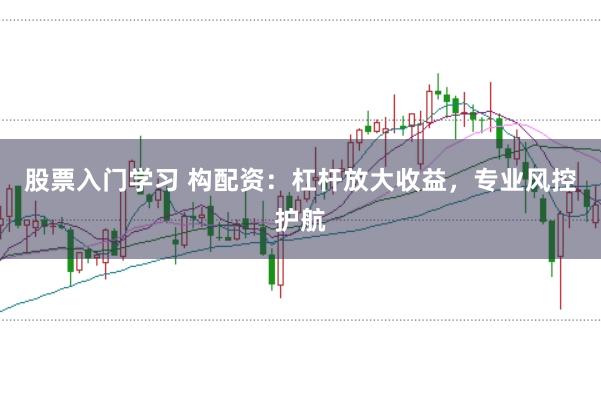 股票入门学习 构配资：杠杆放大收益，专业风控护航