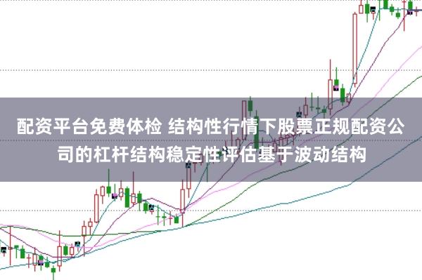 配资平台免费体检 结构性行情下股票正规配资公司的杠杆结构稳定性评估基于波动结构