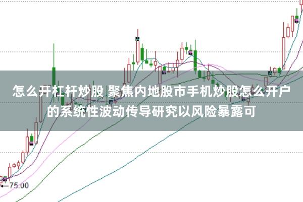 怎么开杠杆炒股 聚焦内地股市手机炒股怎么开户的系统性波动传导研究以风险暴露可