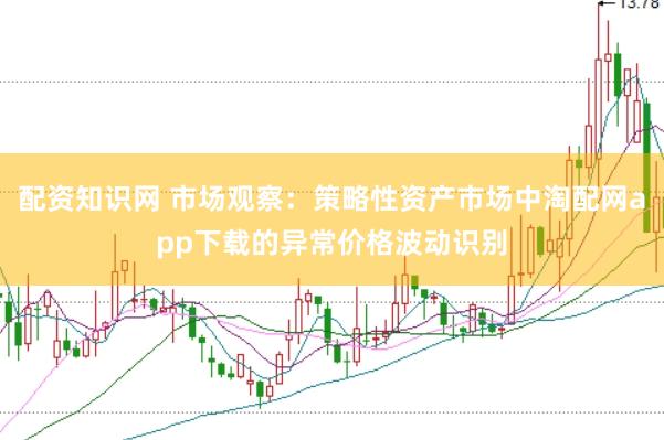 配资知识网 市场观察：策略性资产市场中淘配网app下载的异常价格波动识别