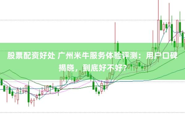 股票配资好处 广州米牛服务体验评测：用户口碑揭晓，到底好不好？