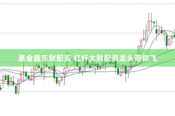 基金鑫东财配资 杠杆大财配资龙头带你飞